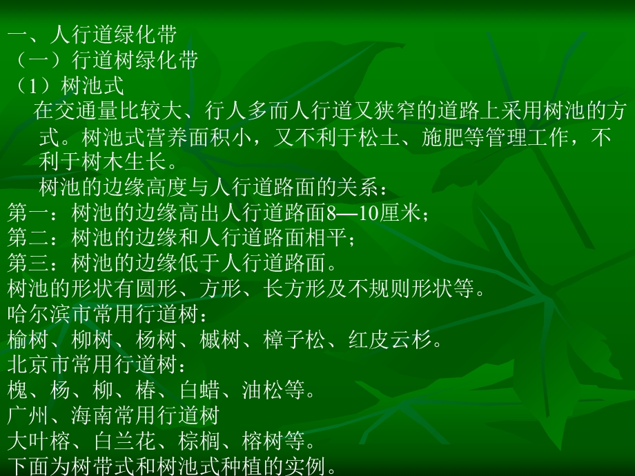 《道路绿化规范》PPT课件.ppt_第3页