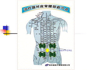 《部位新投影》PPT课件.ppt