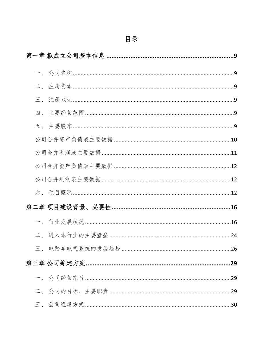 南昌关于成立电踏车电机公司可行性研究报告.docx_第2页