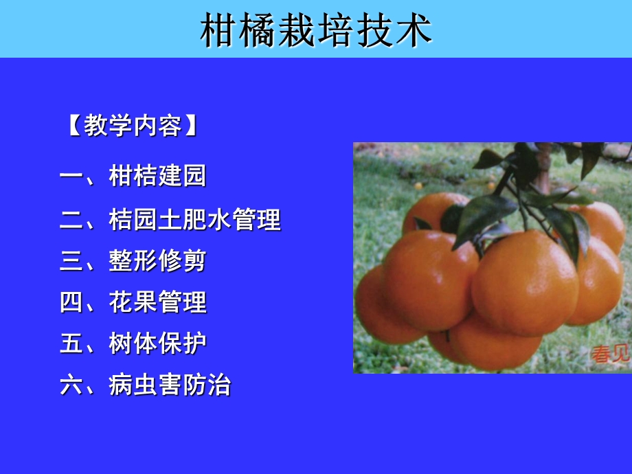 《柑橘栽培技术》PPT课件.ppt_第2页