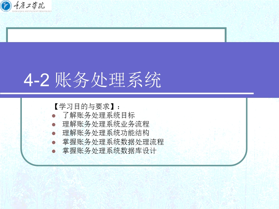 《账务处理系统》PPT课件.ppt_第1页