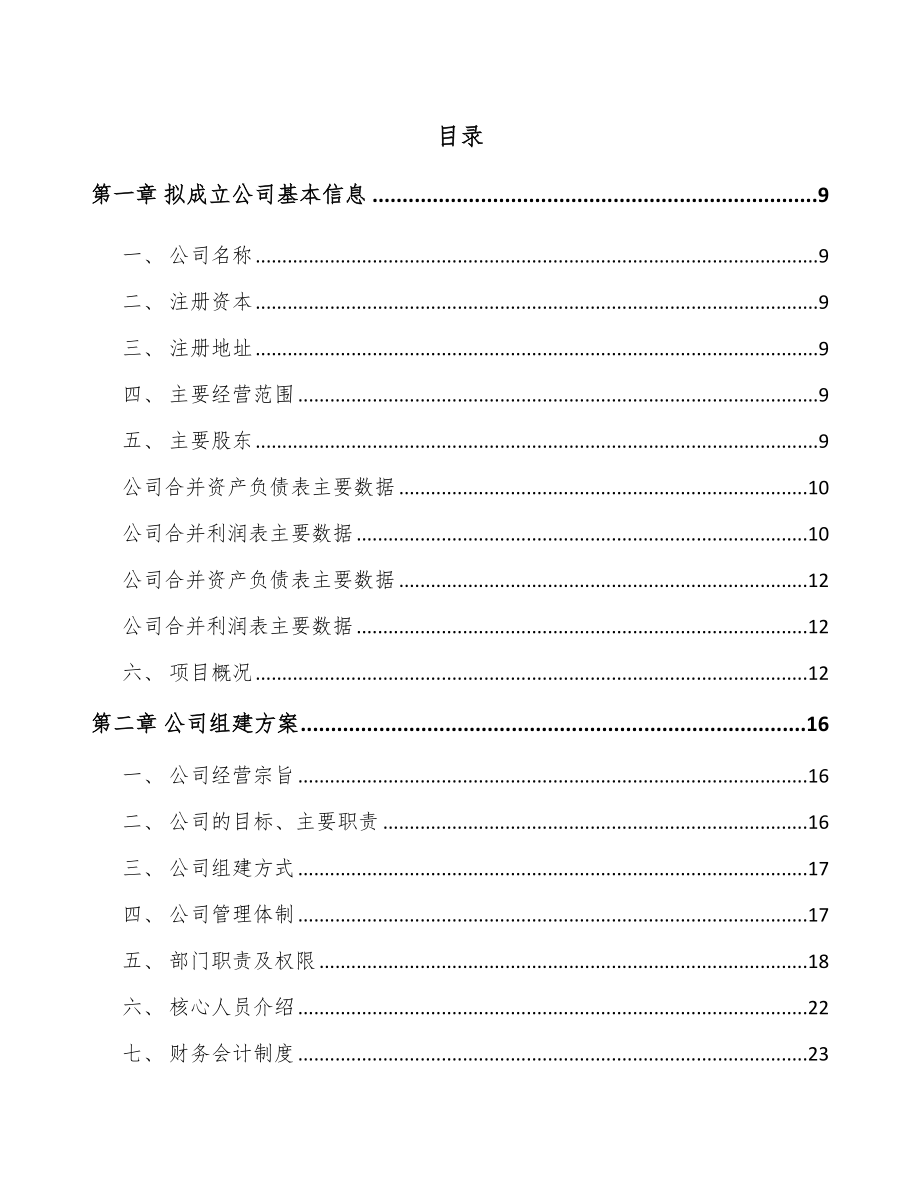 南宁关于成立处理器芯片公司可行性研究报告.docx_第2页