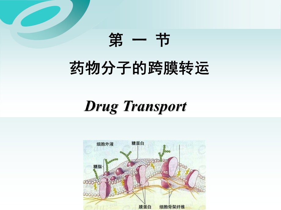 药理学 第二章 药物代谢动力学.ppt_第3页