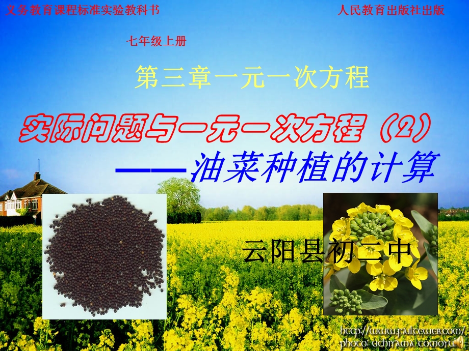 《油菜种植的计算》PPT课件.ppt_第1页