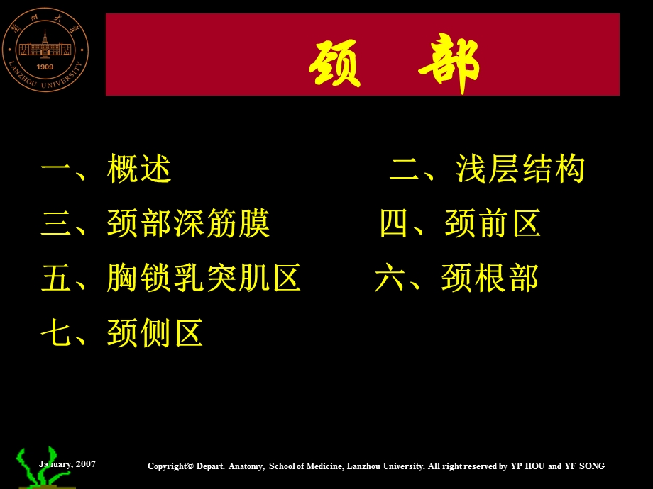 《颈部解剖》PPT课件.ppt_第1页