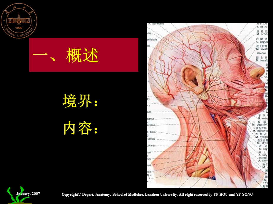《颈部解剖》PPT课件.ppt_第2页