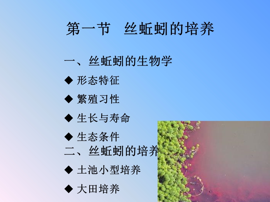 《水丝蚓的培养》PPT课件.ppt_第3页