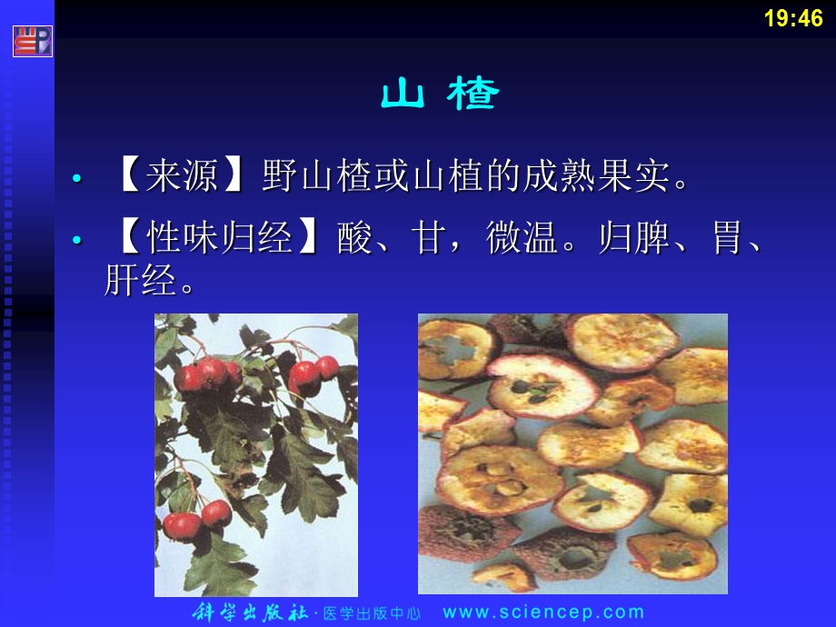 《消食药药剂学》PPT课件.ppt_第3页