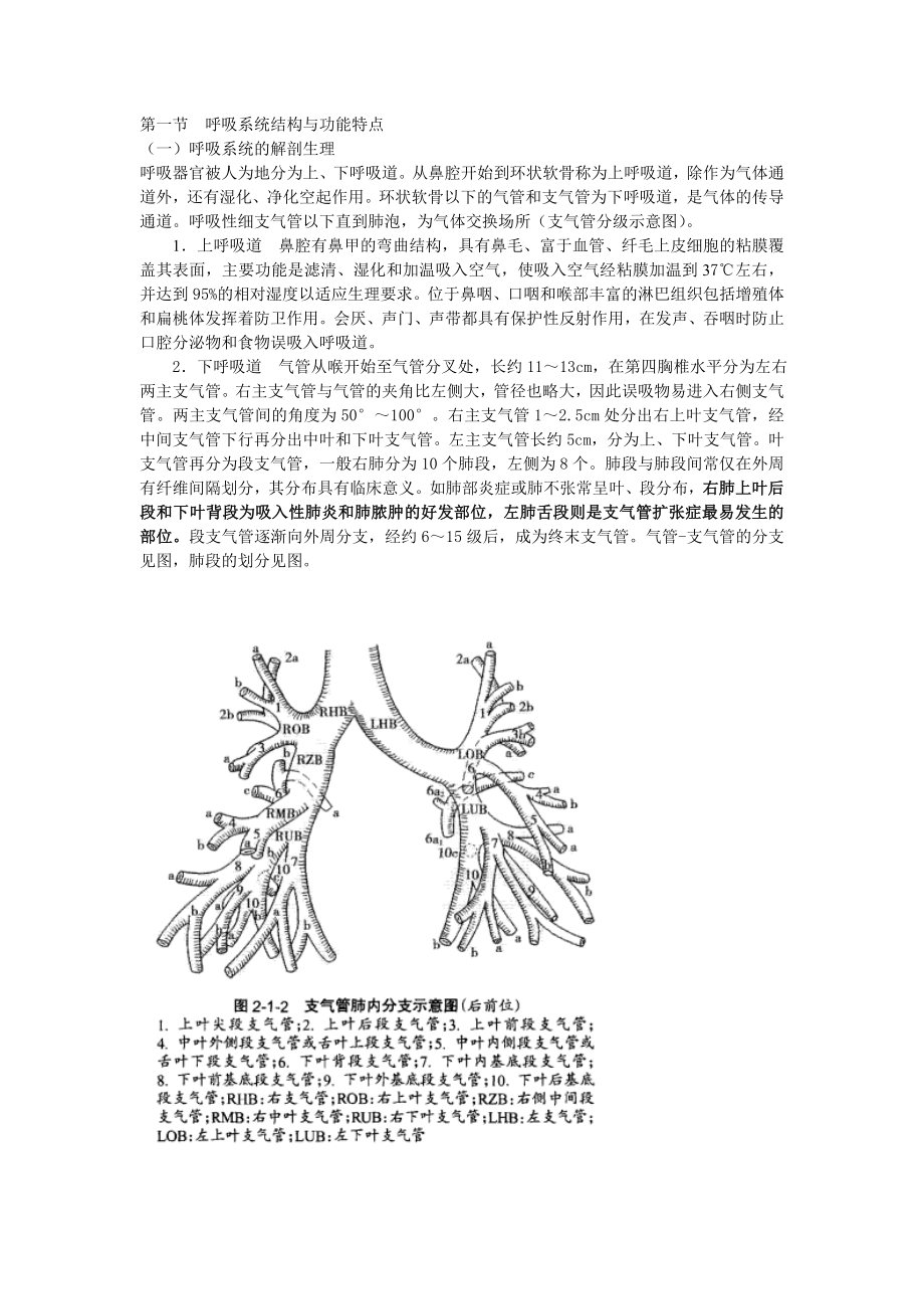 呼吸系统结构与功能特点.doc_第1页