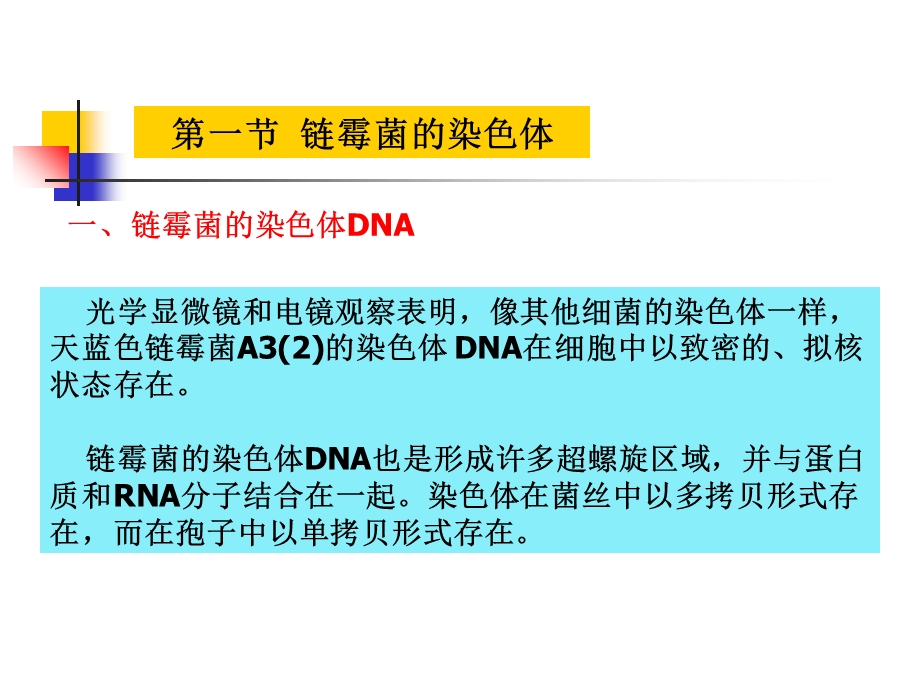 《放线菌遗传》PPT课件.ppt_第3页