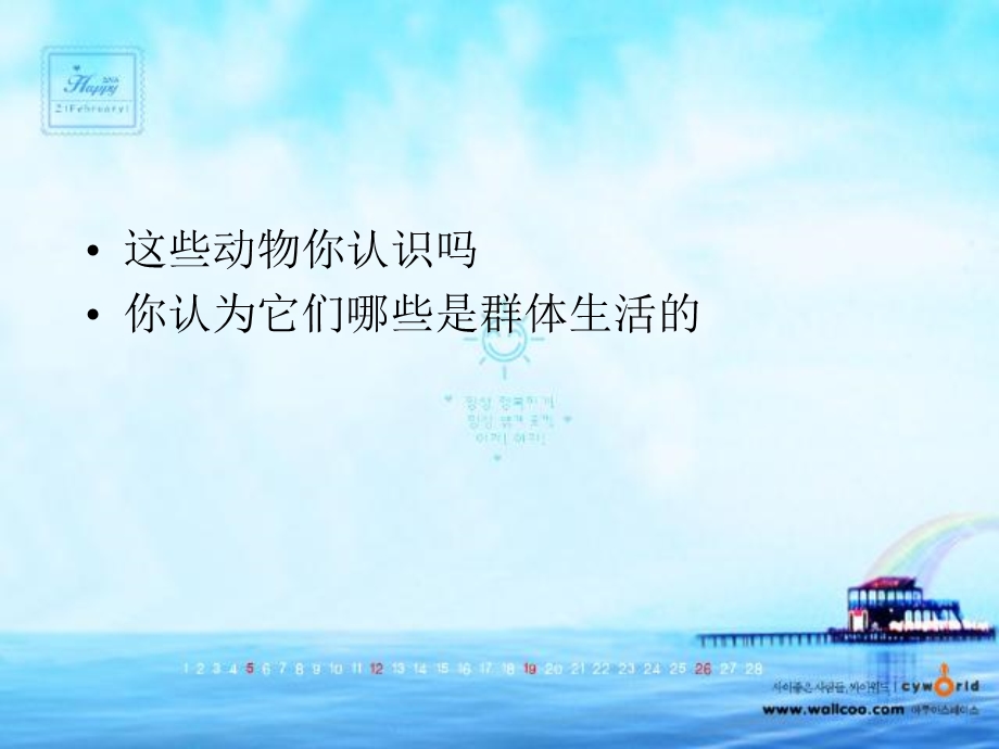 这些动物你认识吗你认为它们哪些是群体生活的.ppt_第1页