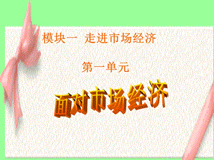 《面对市场经济》PPT课件.ppt