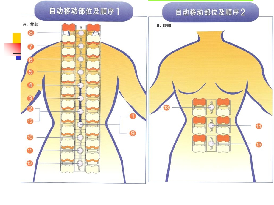 《部位与病症》PPT课件.ppt_第1页