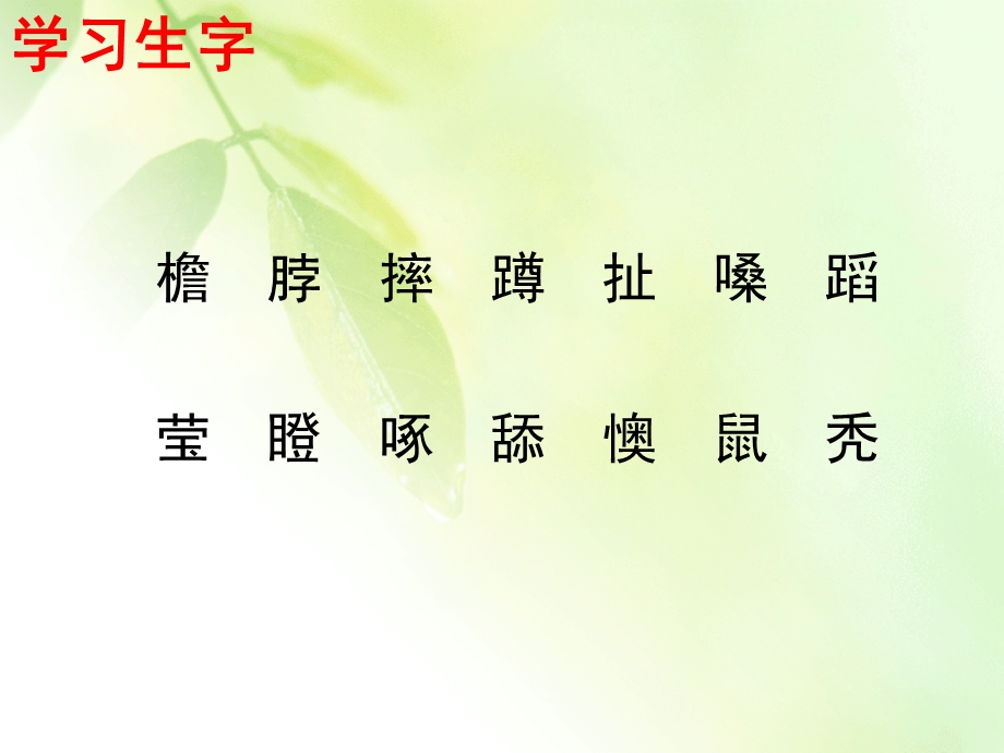 《小麻雀教学》PPT课件.ppt_第3页