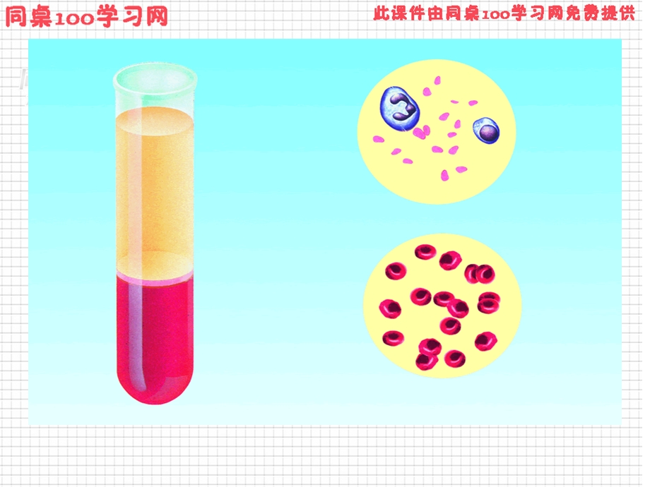 节细胞生活的环境课件.ppt_第3页