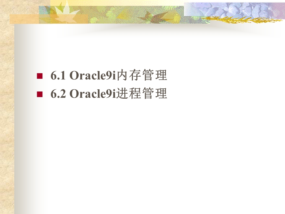 【教学课件】第六讲Oracle数据库服务器例程.ppt_第2页