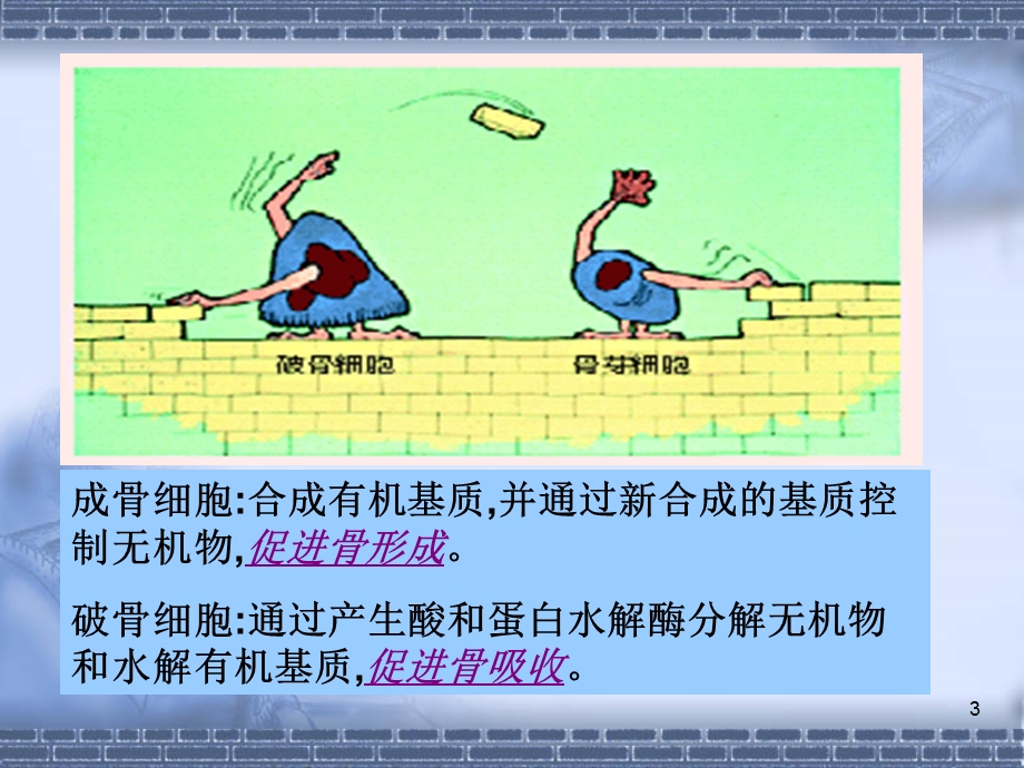 《钙和磷的代谢》PPT课件.ppt_第3页