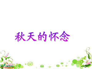 天的怀念1.ppt