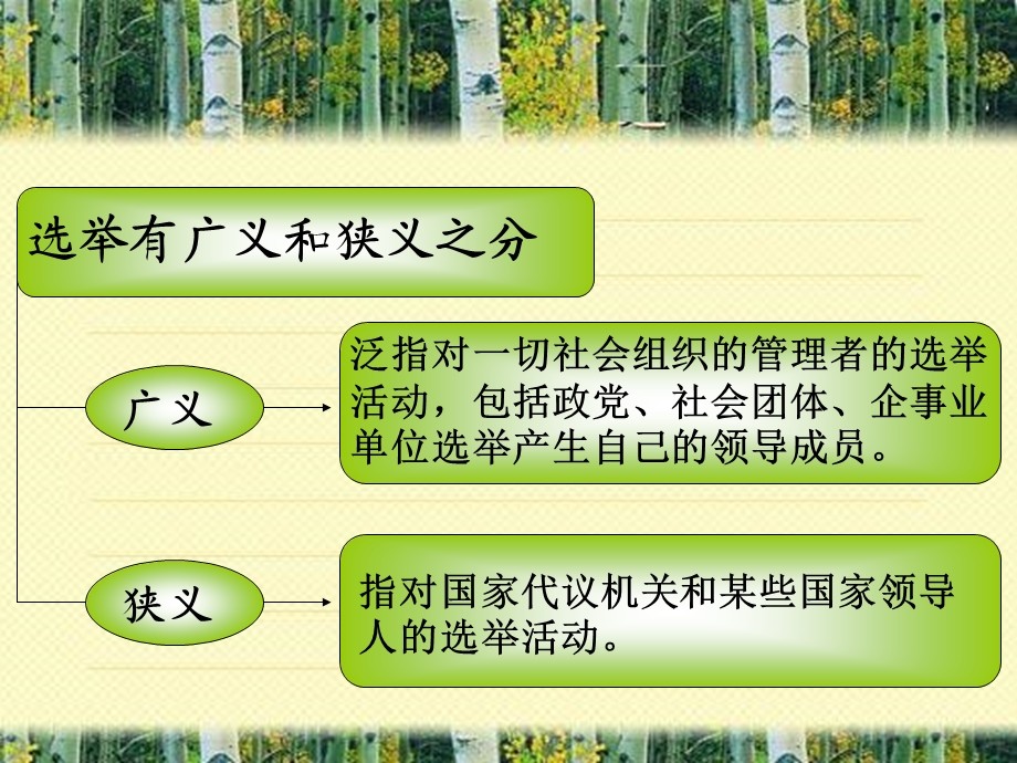 选举制度.ppt_第3页