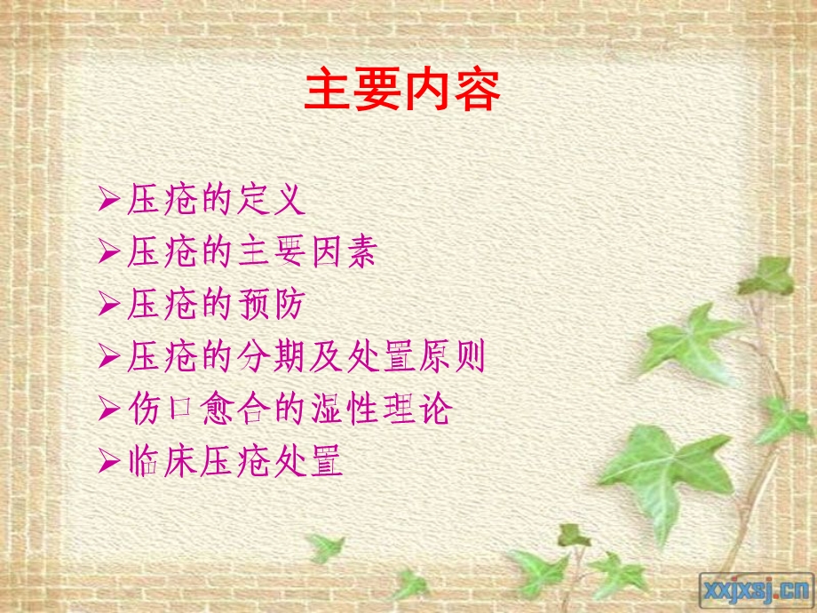 压疮的防护.ppt_第2页