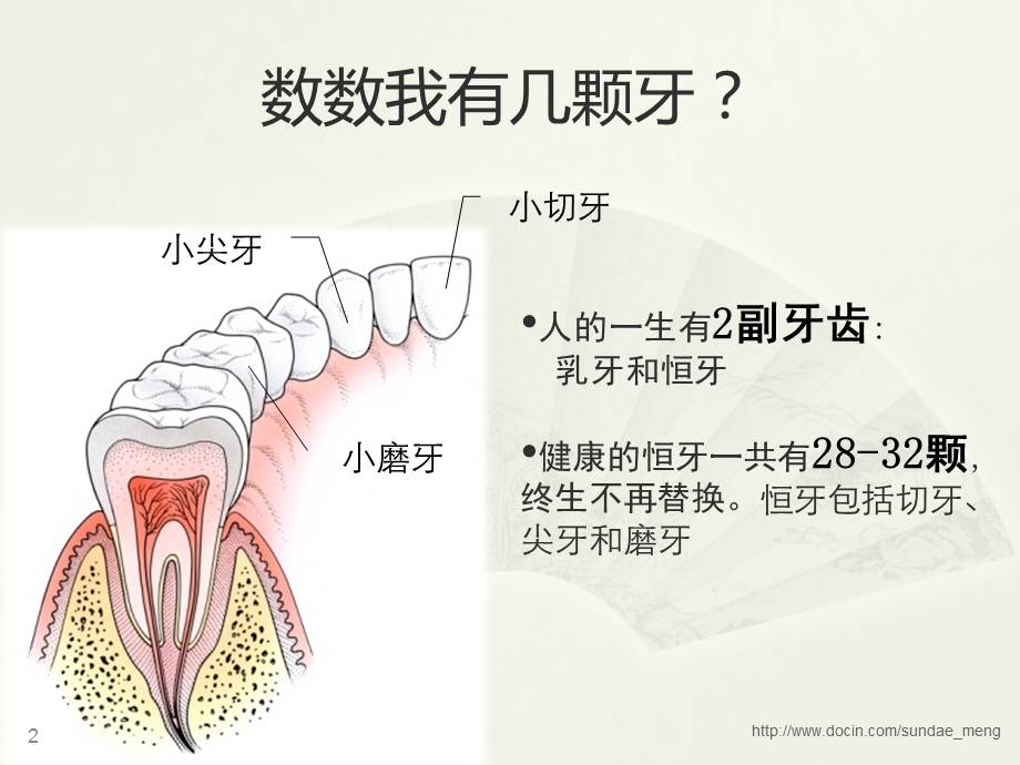 【小学课件】4个护齿好习惯 32颗好牙齿.ppt_第2页