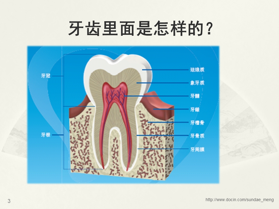 【小学课件】4个护齿好习惯 32颗好牙齿.ppt_第3页