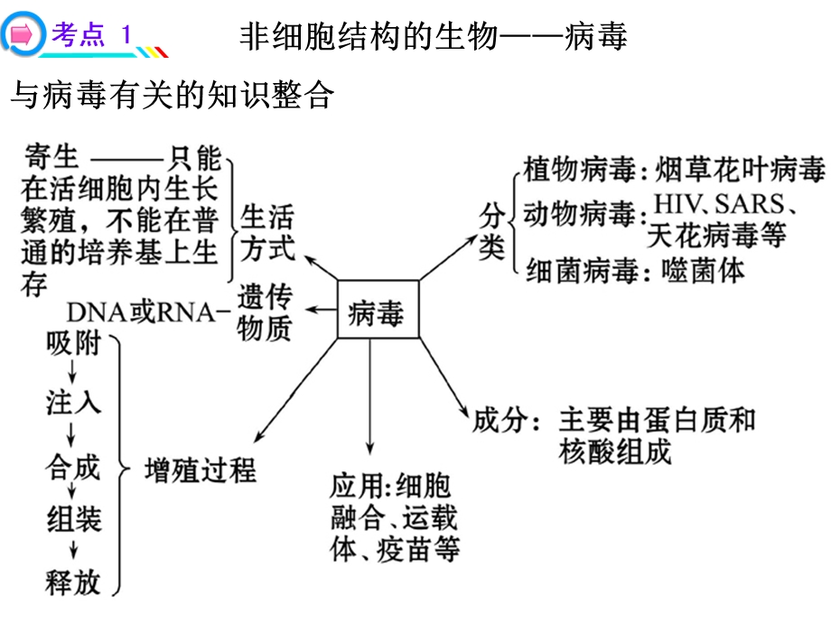 《背诵内容》PPT课件.ppt_第1页