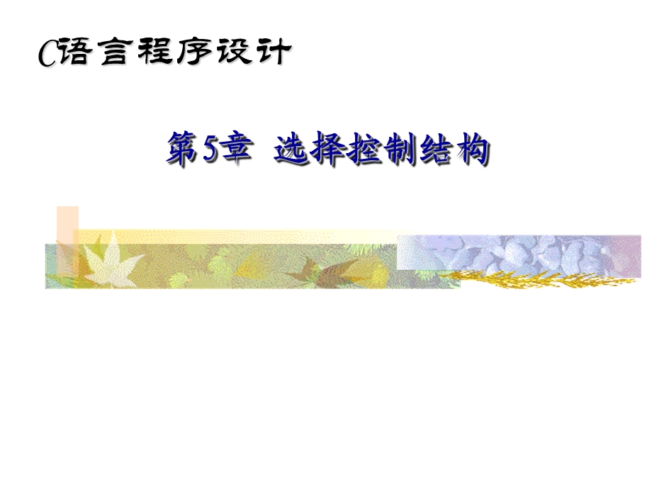 《选择控制结构 》PPT课件.ppt_第1页