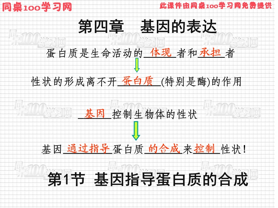 节基因指导蛋白质的合成课件.ppt_第2页