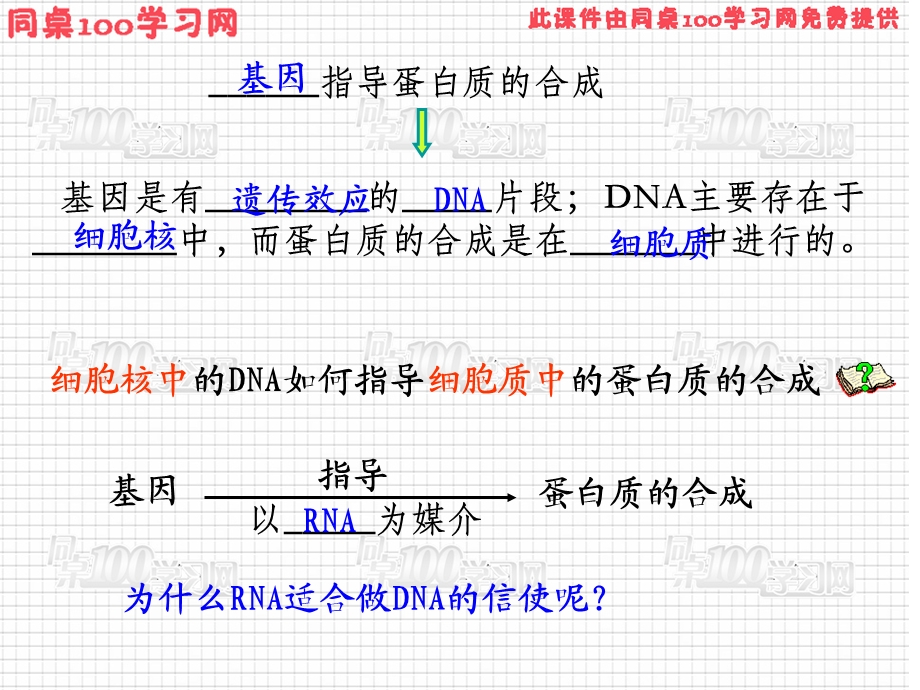 节基因指导蛋白质的合成课件.ppt_第3页