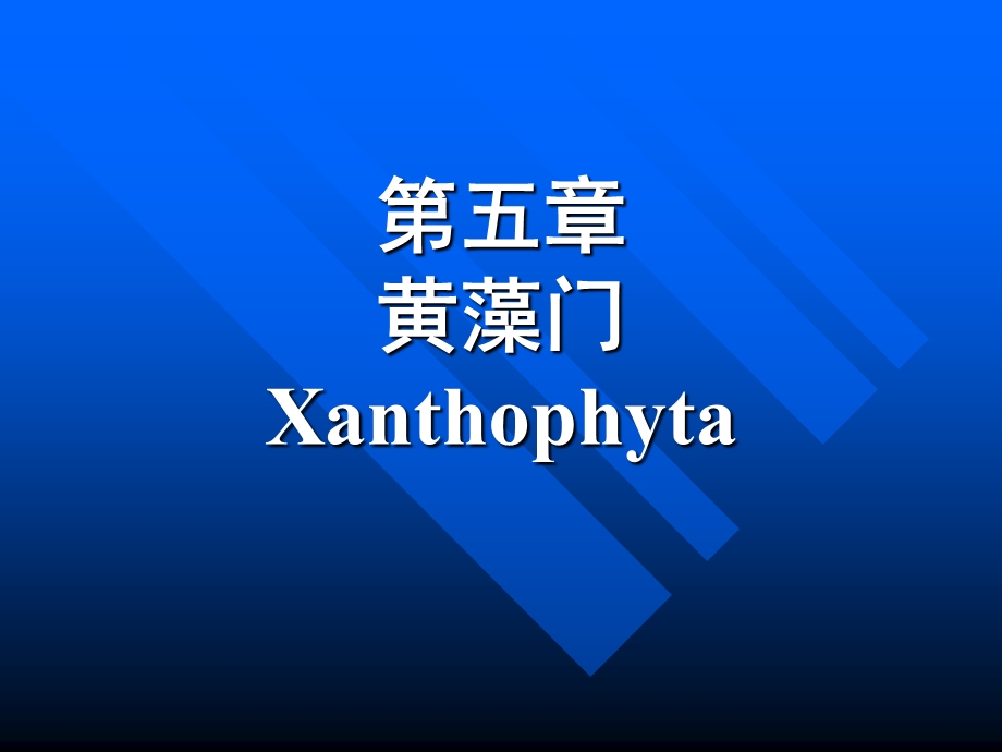 【教学课件】第五章黄藻门Xanthophyta.ppt_第1页