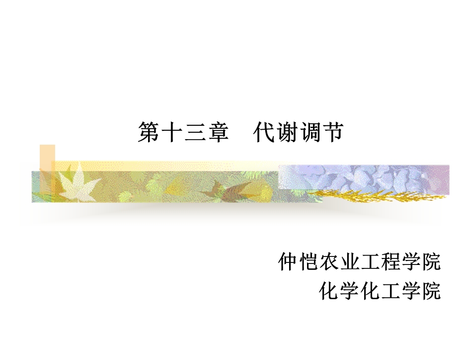 【教学课件】第十三章代谢调节.ppt_第1页