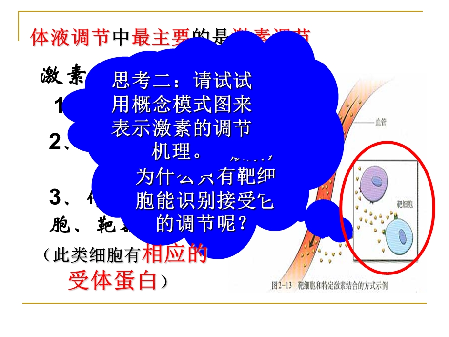 高等动物的内分泌系统与体液调节第一课时.ppt_第3页