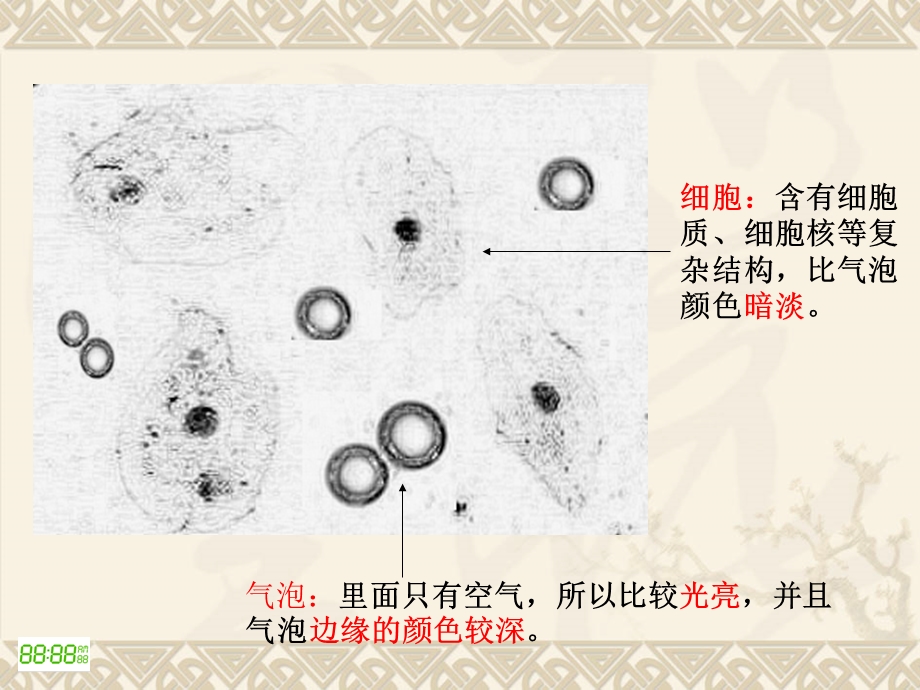 《验收课细胞膜》PPT课件.ppt_第3页