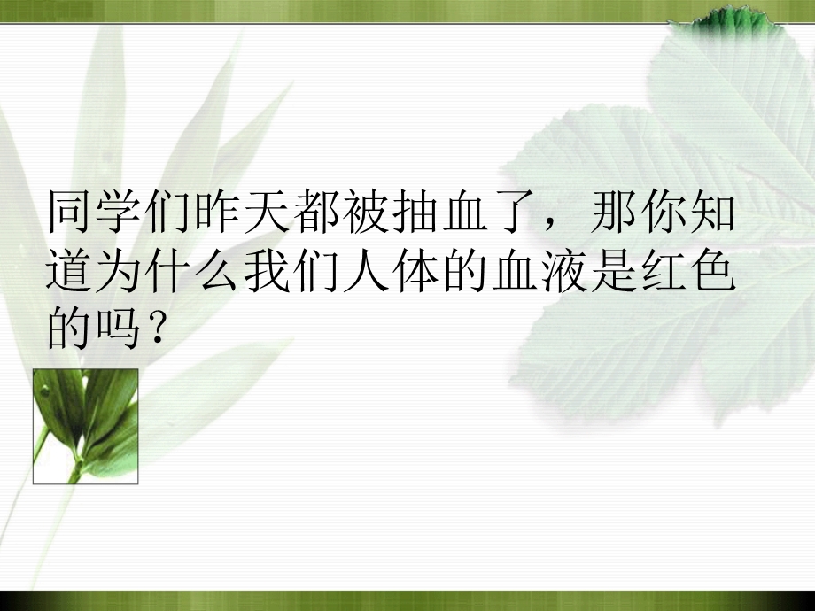 第一节植物细胞的结构和功能.ppt_第2页