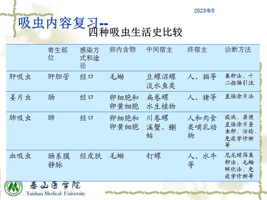 《绦虫专科》PPT课件.ppt_第1页