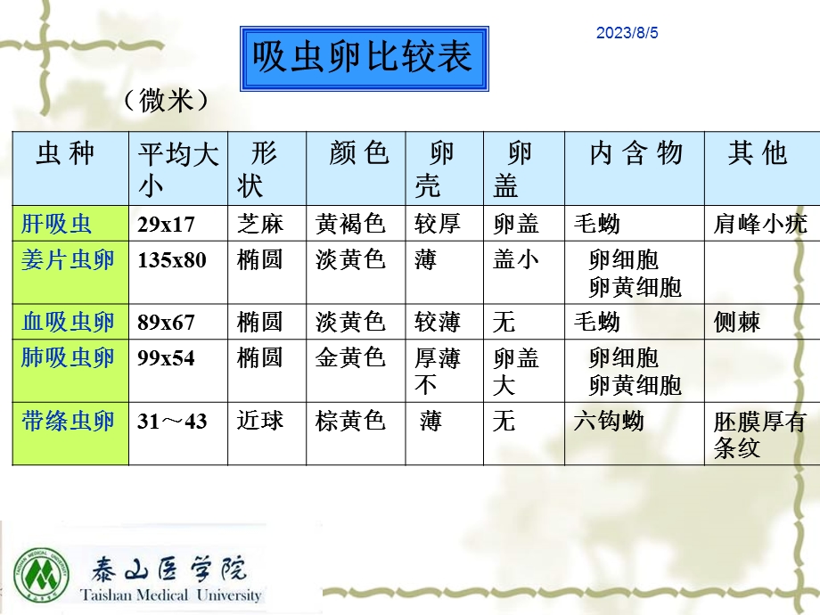 《绦虫专科》PPT课件.ppt_第2页