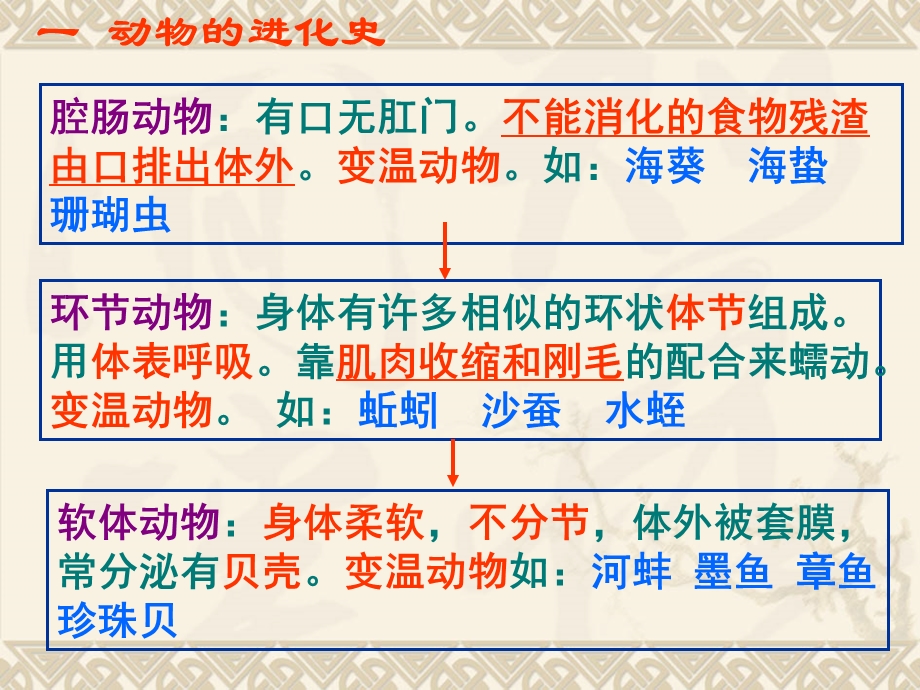 【教学课件】第五单元生物圈中的其他生物.ppt_第2页