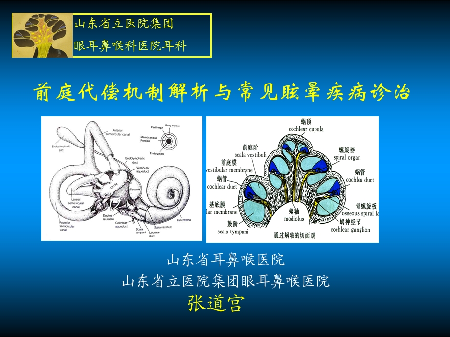 前庭代偿机制解析与常见眩晕疾病诊治张道宫.ppt_第1页