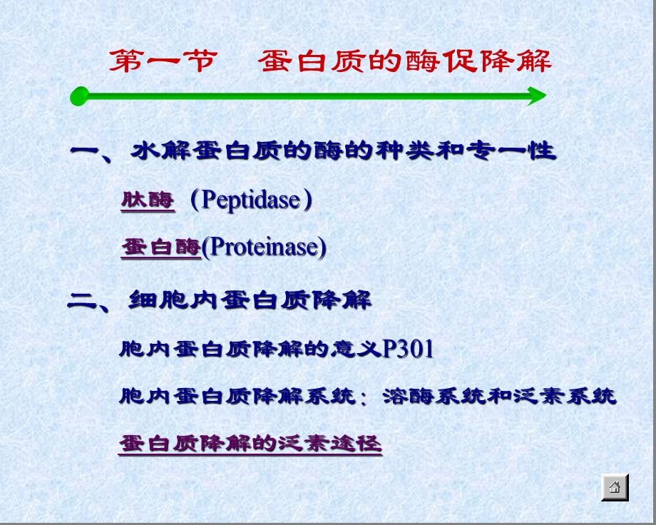 PRO分解代谢.ppt_第2页