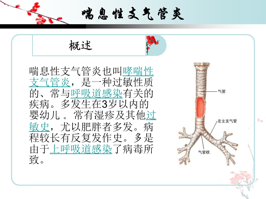 喘息性支气管炎的护理查房.ppt_第2页