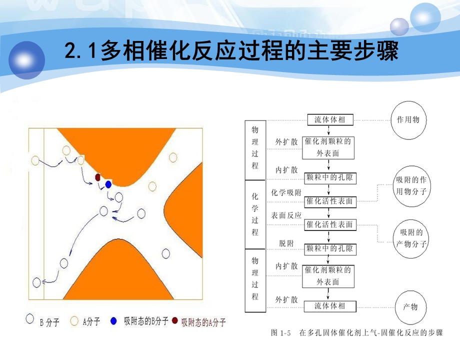 催化剂的表面吸附和孔内扩散.ppt_第3页