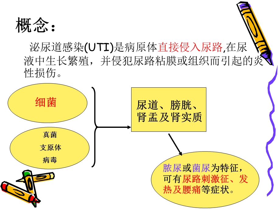 小儿泌尿道感染.ppt_第2页