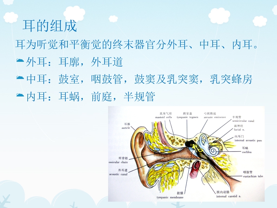 医学影像-耳的影像解剖及常见疾病诊断.ppt_第3页
