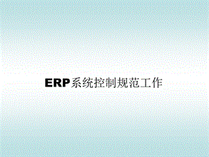 ERP系统控制规范工作.ppt