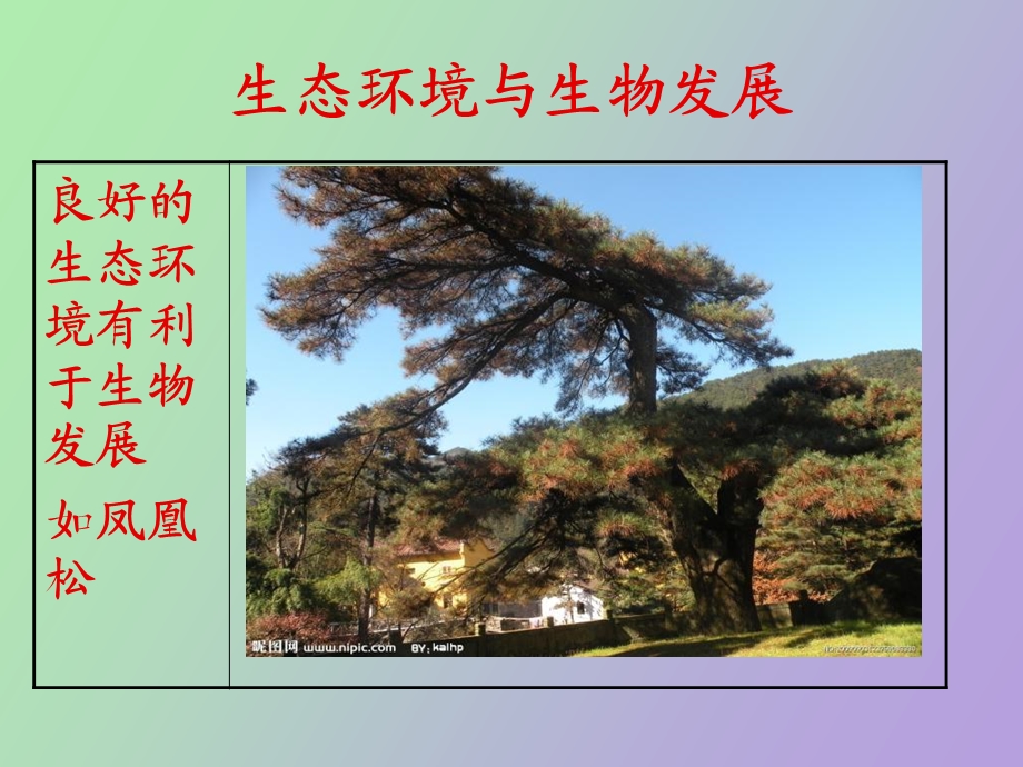 学校文化生态.ppt_第2页