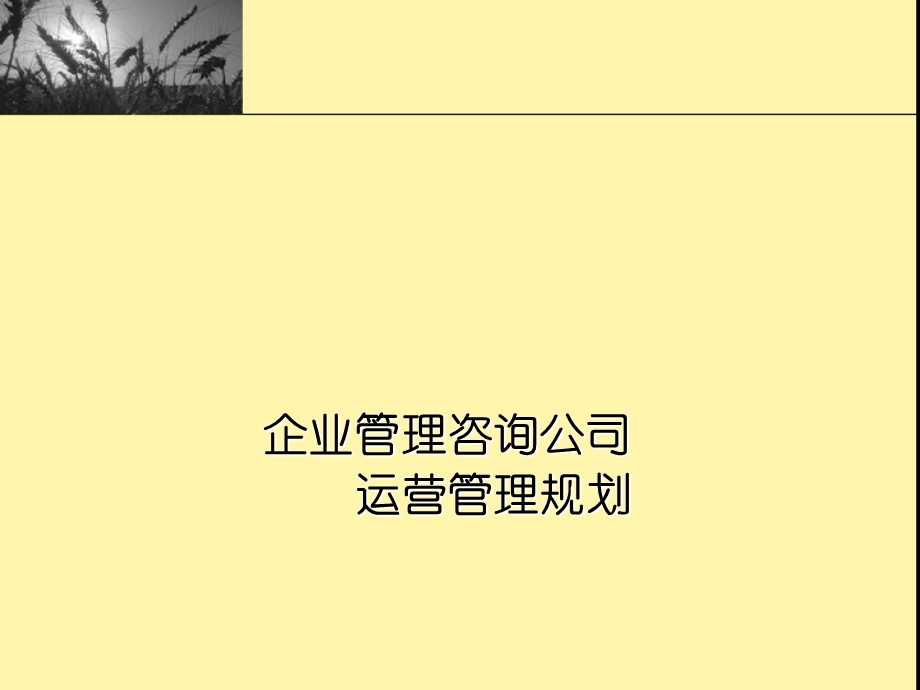 咨询公司运营管理规划.ppt_第1页