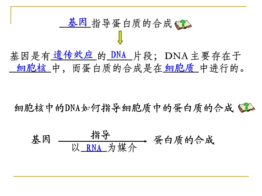 导蛋白质的合成ppt.ppt_第3页