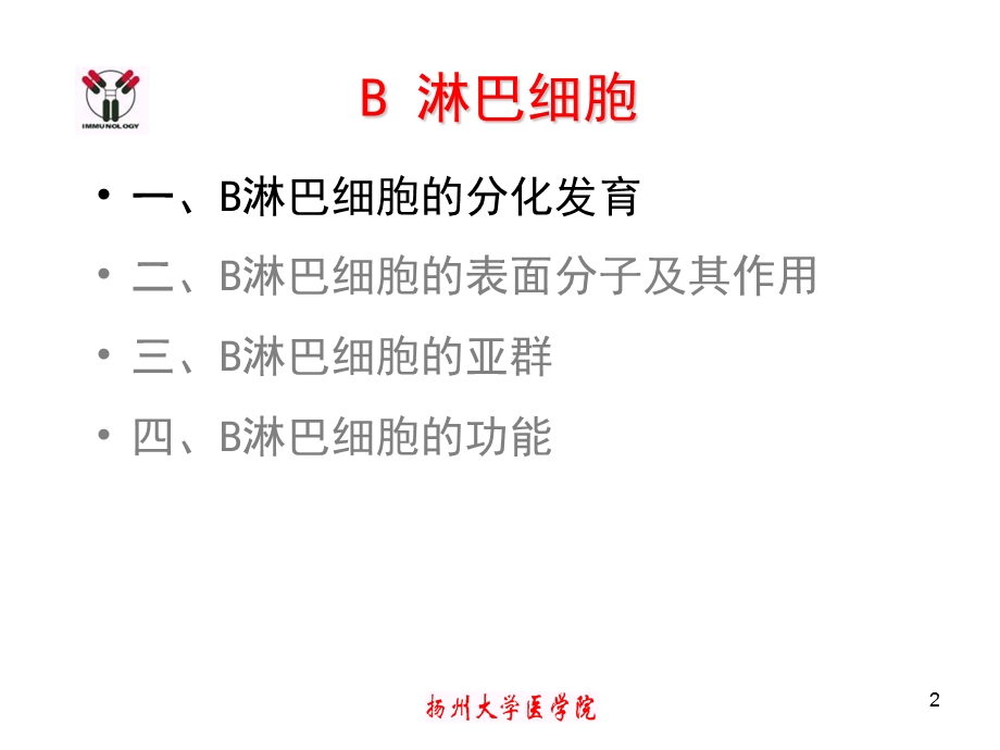 医学免疫学-9Blymphocy.ppt_第2页