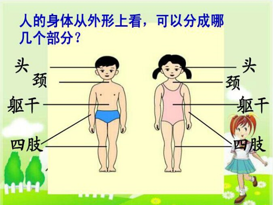 小学科学课件《我们的身体》.ppt_第3页